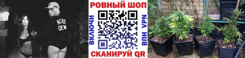 Названия наркотиков Строитель БУТИРАТ APVP Меф мяу мяу Гашиш