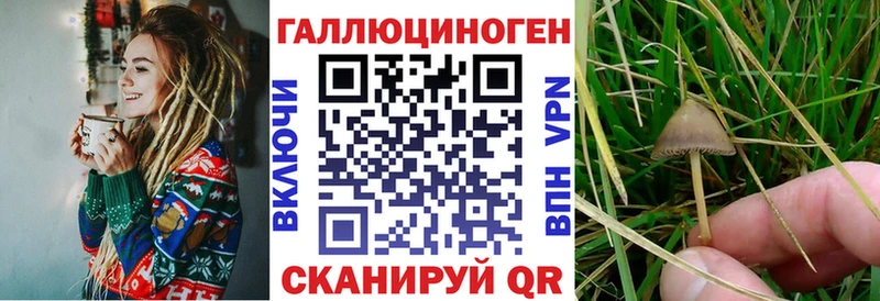 как найти закладки  Строитель  Галлюциногенные грибы ЛСД 
